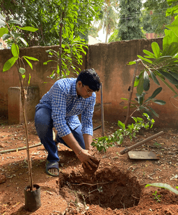 Tree Planting Initiative